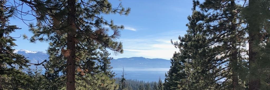 ReeneeTaylor's profile banner image