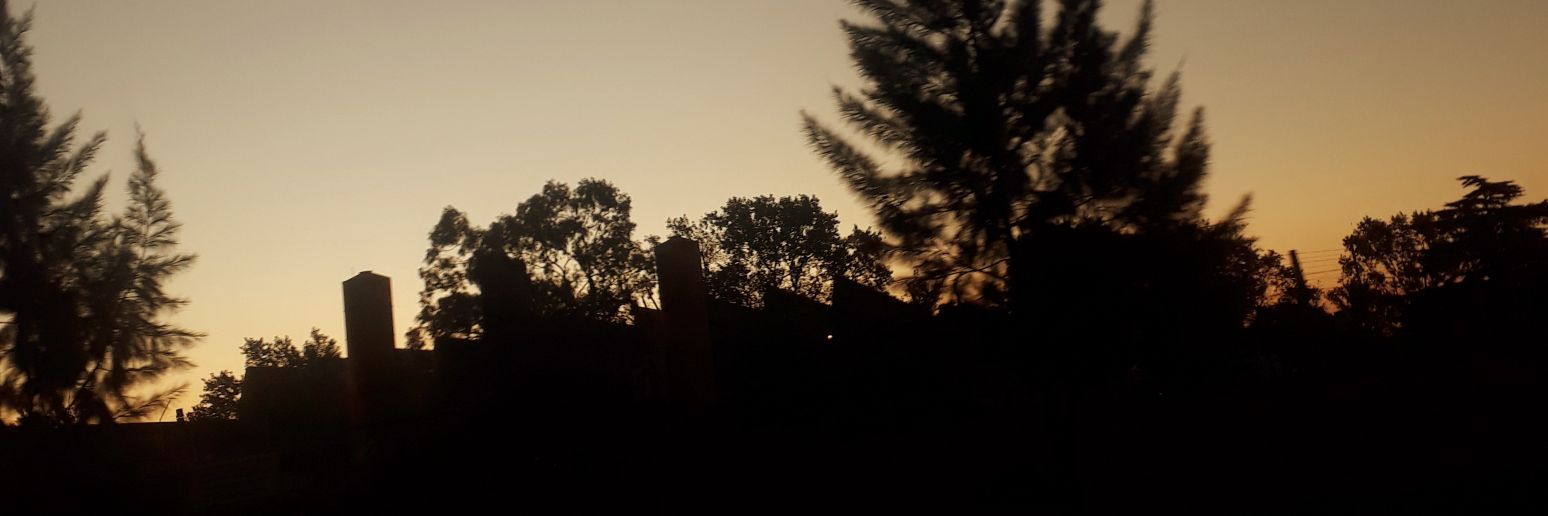 6Dani14's profile banner image
