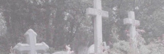 amaleite's profile banner image
