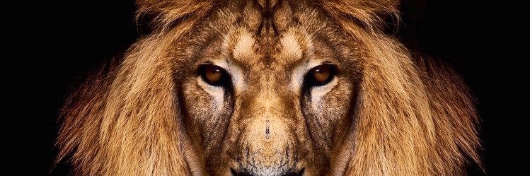 JakeDengler6's profile banner image