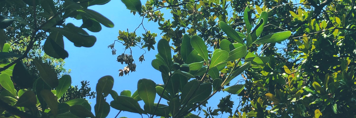 GIΔNLUKS 🏳️‍🌈 banner