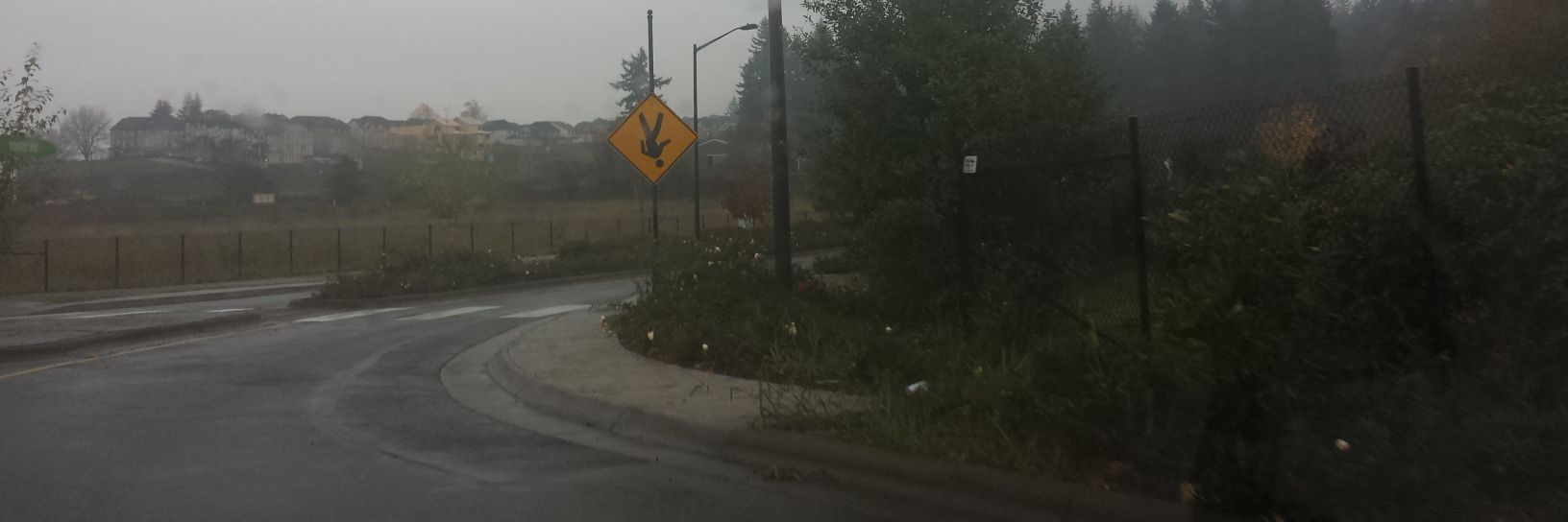 Stephen Ellison banner