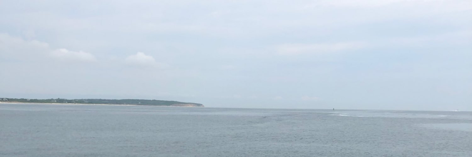 Stephen Vachon banner