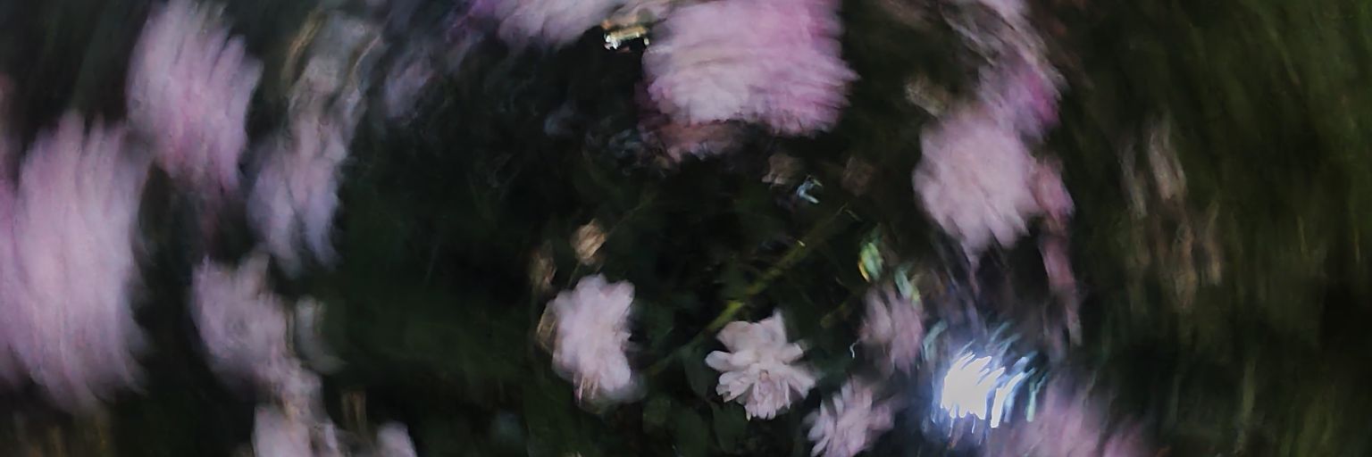 無空 banner
