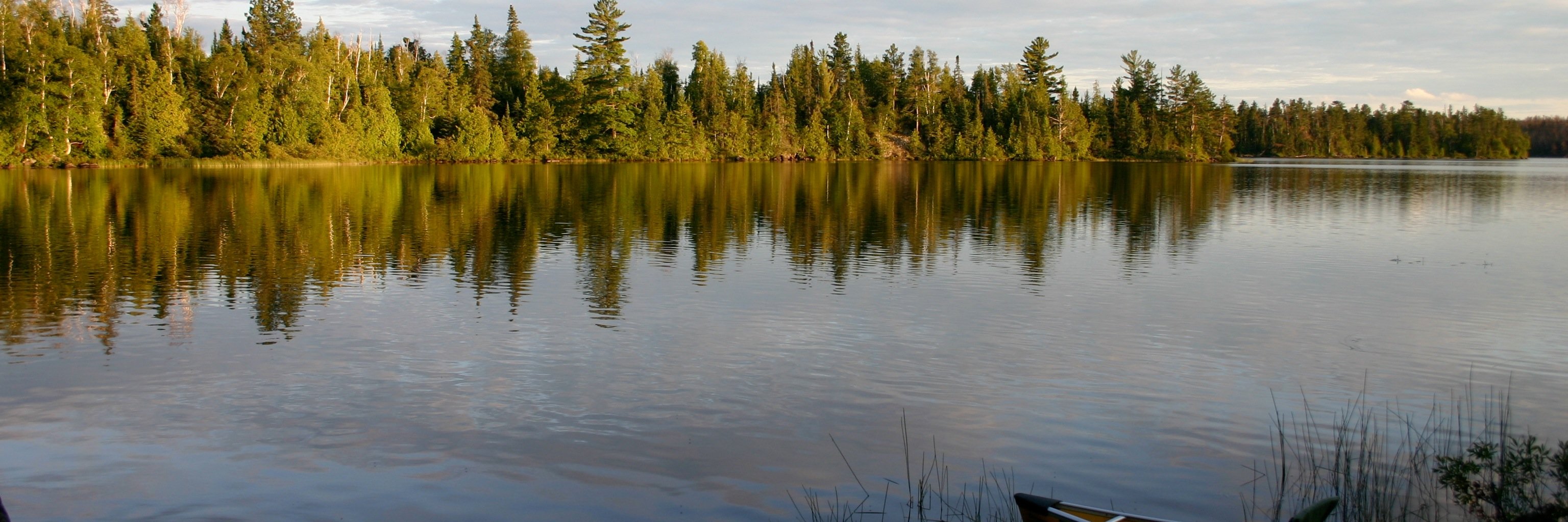 Deanna Troust banner