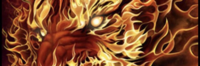 Firelion01's profile banner image