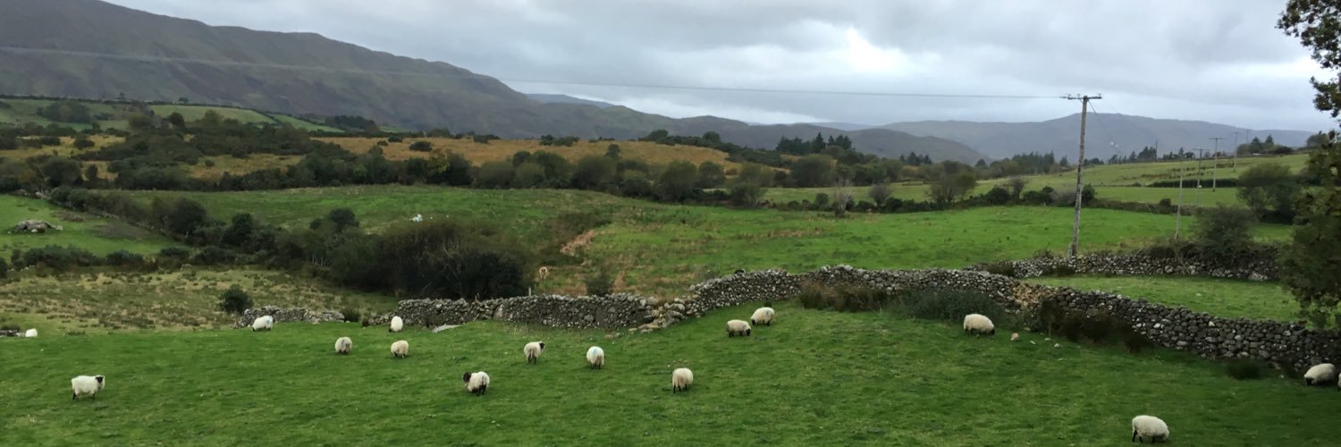 FinneganPat's profile banner image