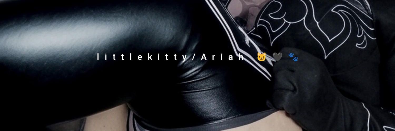 littlekitty_py's profile banner image