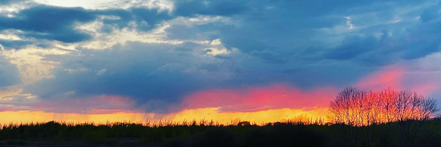 Carsten Krogh-Simonsen banner