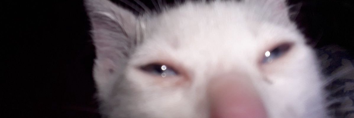 Snicker🍫😁 banner