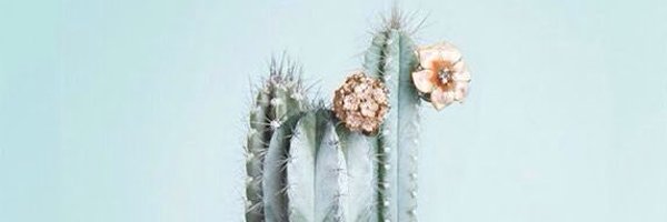 kalvarezguillen Profile Banner