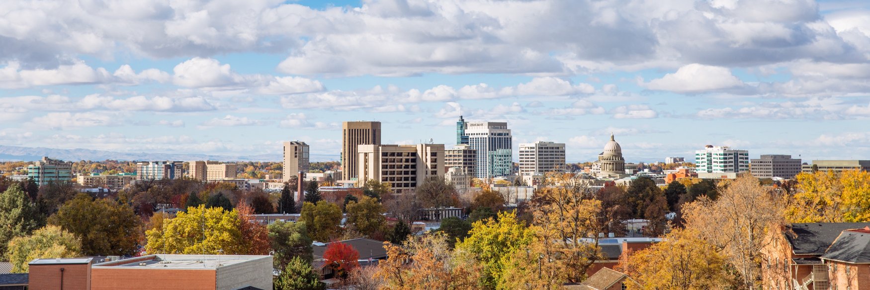 Boise Valley Economic Partnership (BVEP) banner