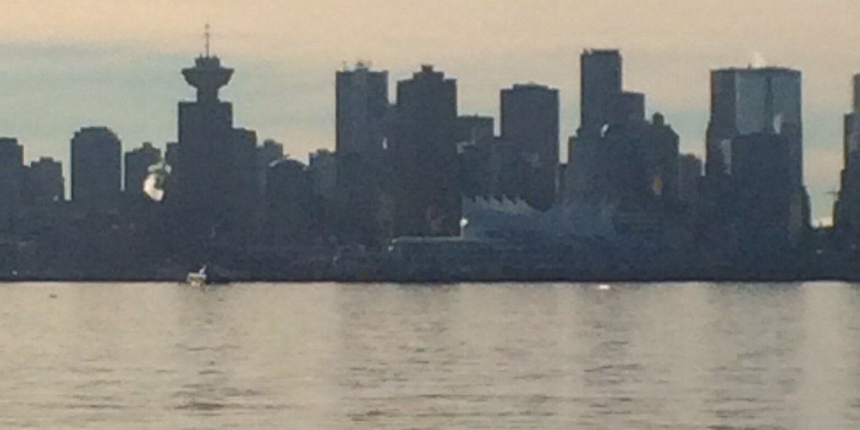 Kelly Stewart banner