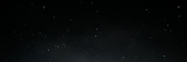 liatrap24's profile banner image