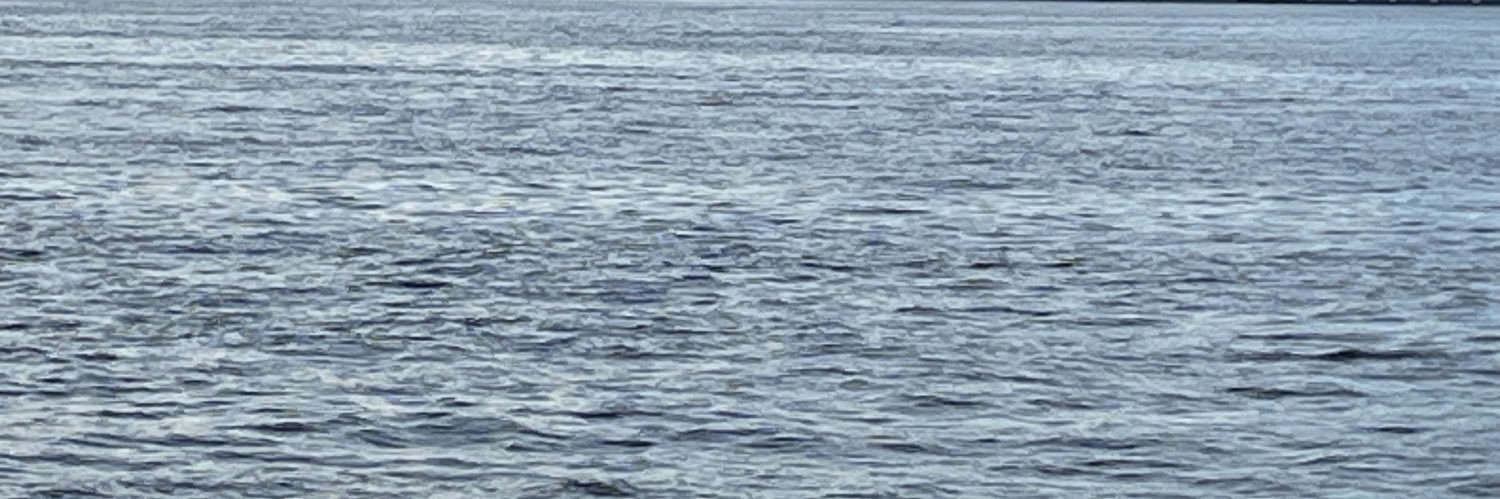 roshinant's profile banner image