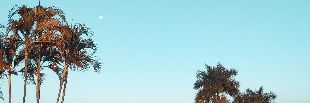 thirteens_'s profile banner image