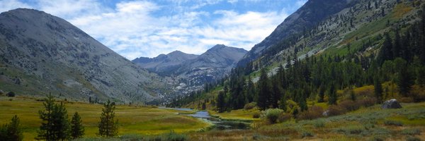 tiffanu Profile Banner