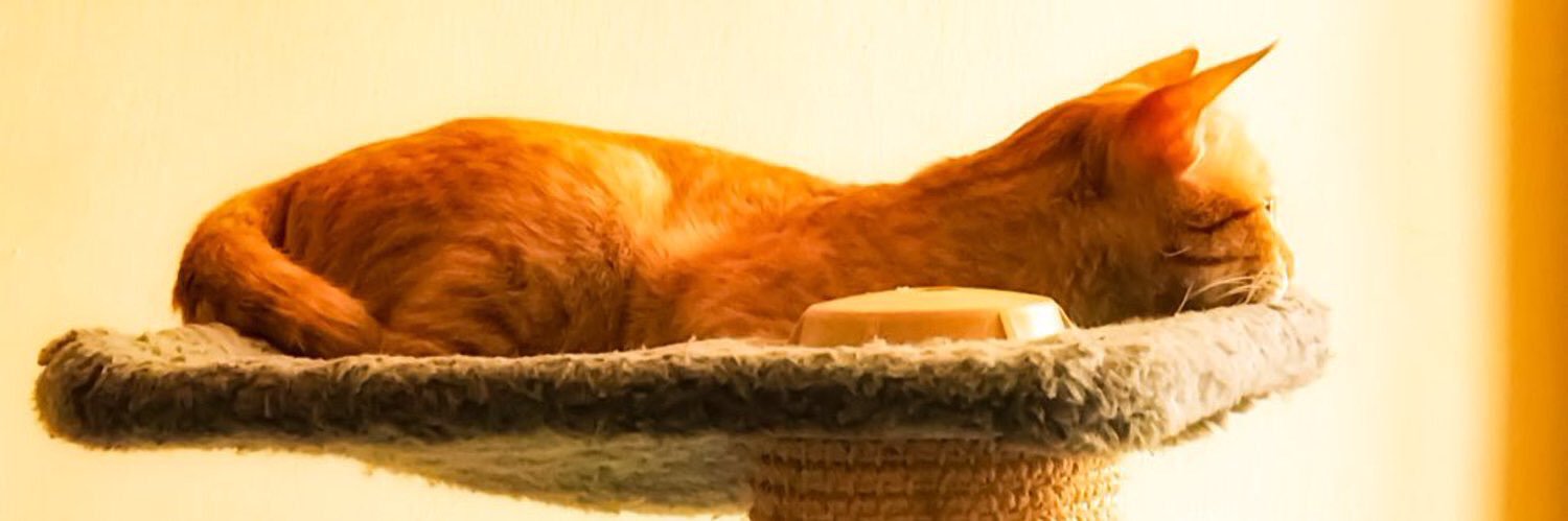 mamansg06's profile banner image