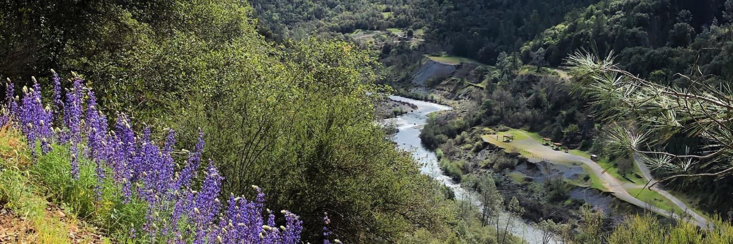 Friends of the River banner