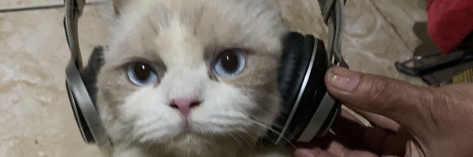 sunnshinegyspy's profile banner image