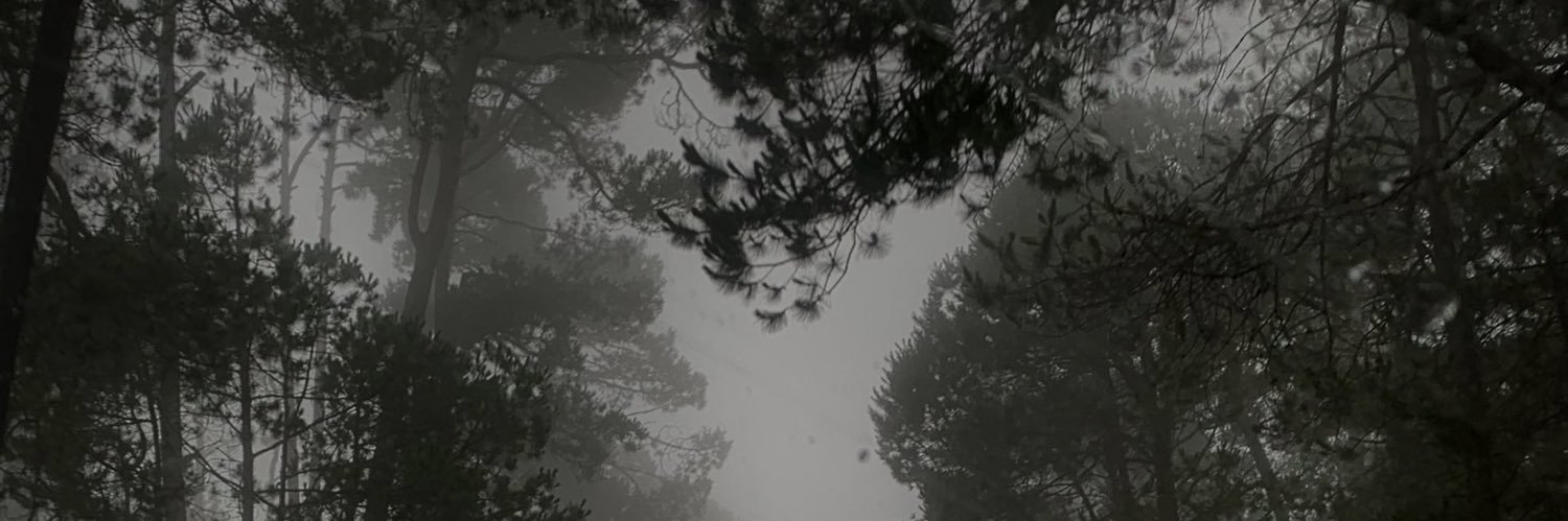 fannyag03's profile banner image