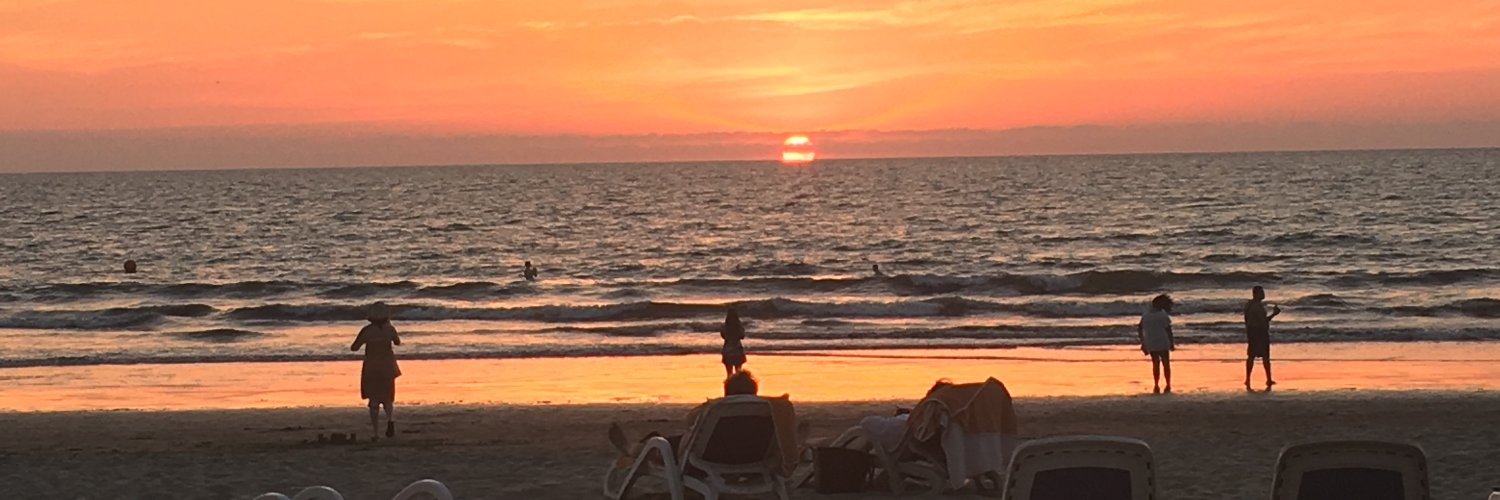 Mike Margolis banner