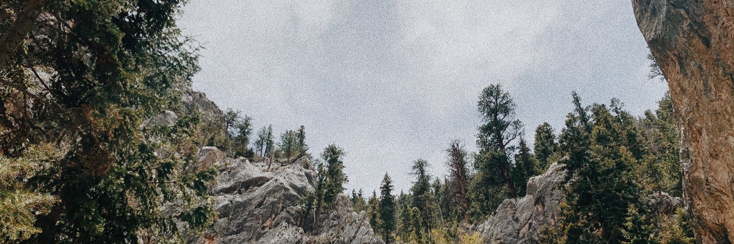 _jasmiinne's profile banner image