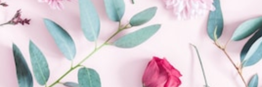 minimicro's profile banner image