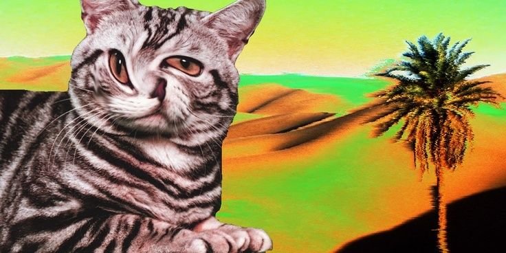 theonlyChristus's profile banner image