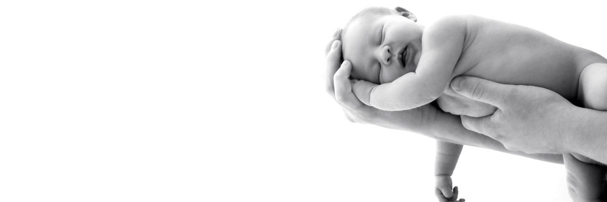 Bash banner