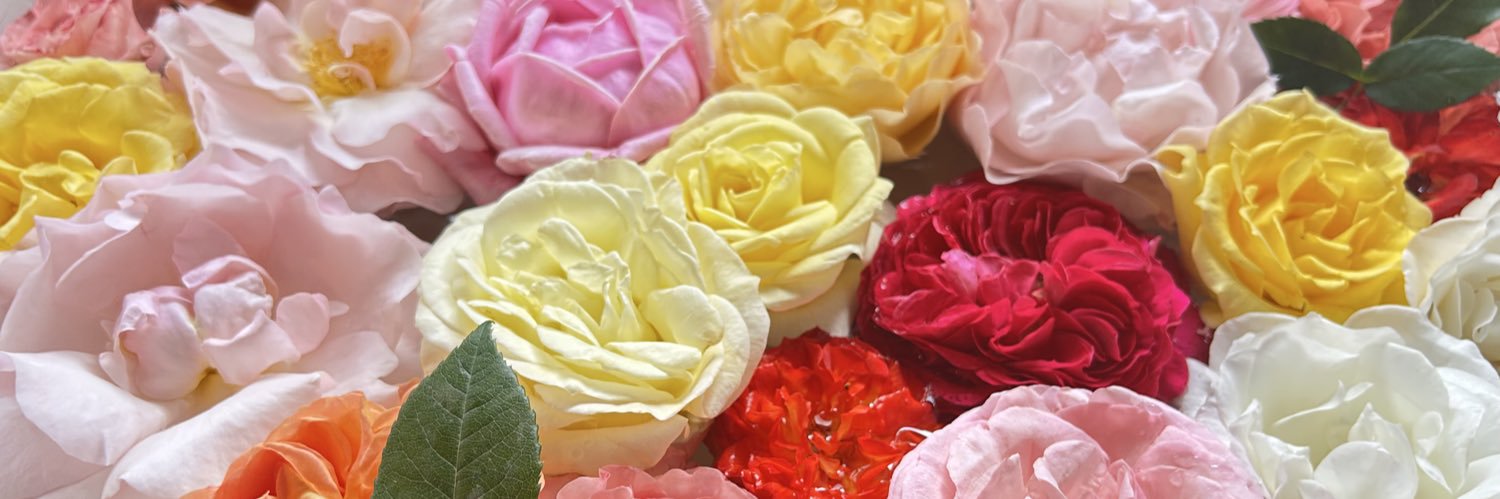 oo91an's profile banner image