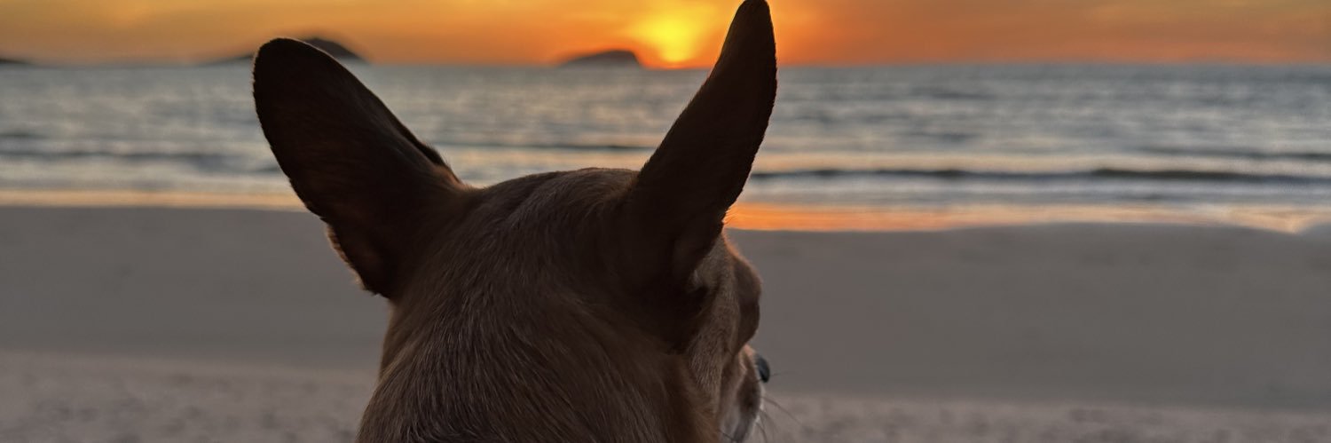 alecfdzz's profile banner image