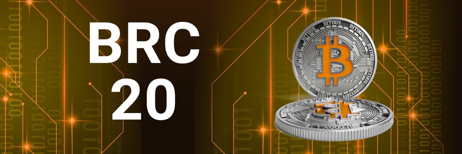 BRC20 Army 🟧 banner
