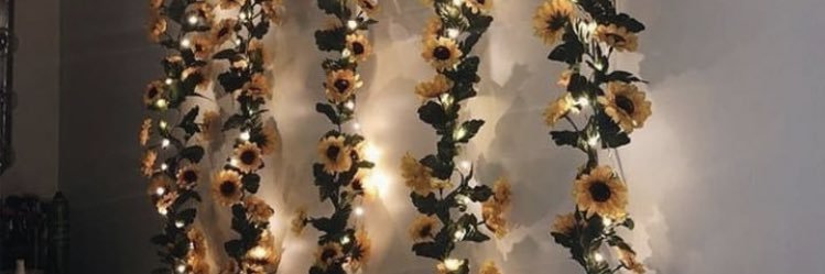 brunasrg's profile banner image