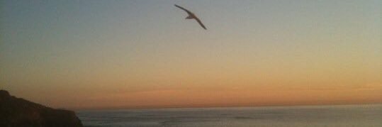 LauraM_Martinez's profile banner image