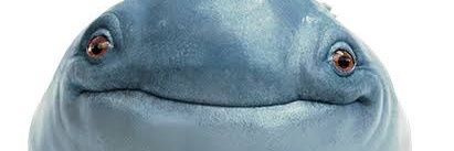 nuure's profile banner image