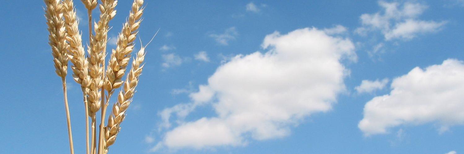 SarahClerquin's profile banner image