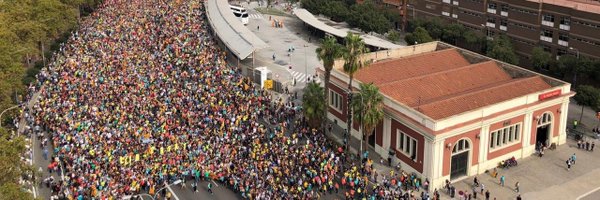 capapeus Profile Banner