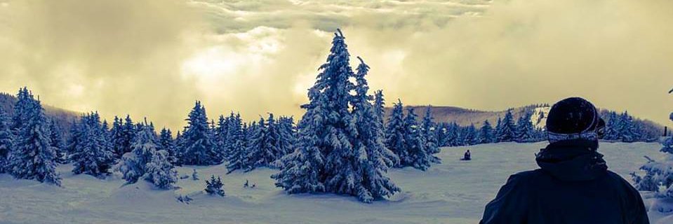 Kavequerque's profile banner image