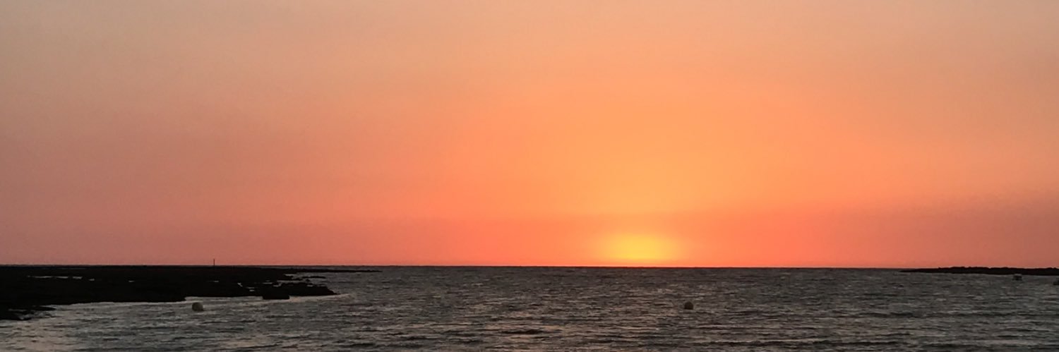 marijose_2298's profile banner image