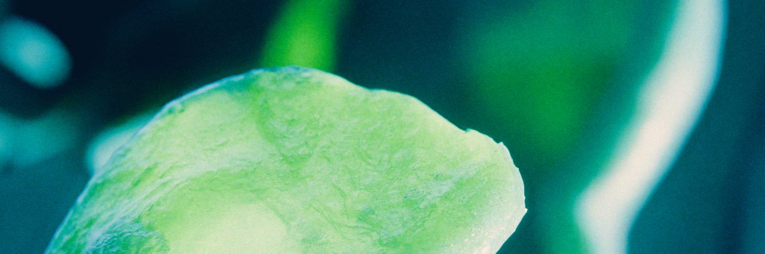 Opal Drums banner