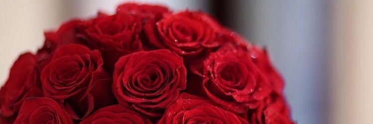 ___xla3's profile banner image