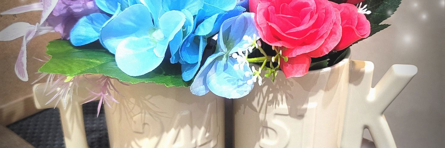 K202S's profile banner image