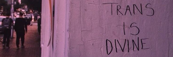 𝑺𝒐𝒍 | 𝑻𝒉𝒆 𝑴𝒐𝒅𝒆𝒓𝒏 𝑽𝒆𝒏𝒖𝒔 banner