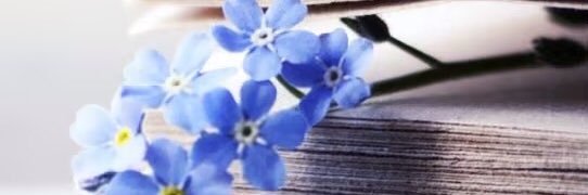 CastellMarcela's profile banner image