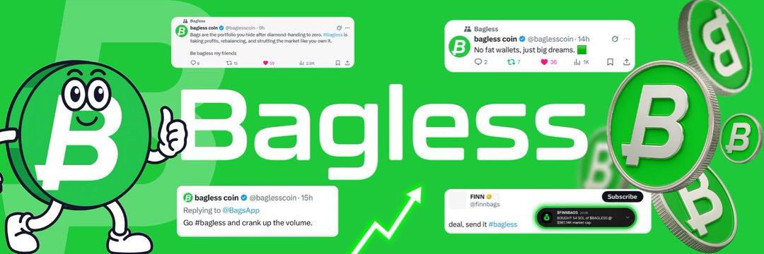 BaglessCoin_WTF's profile banner image