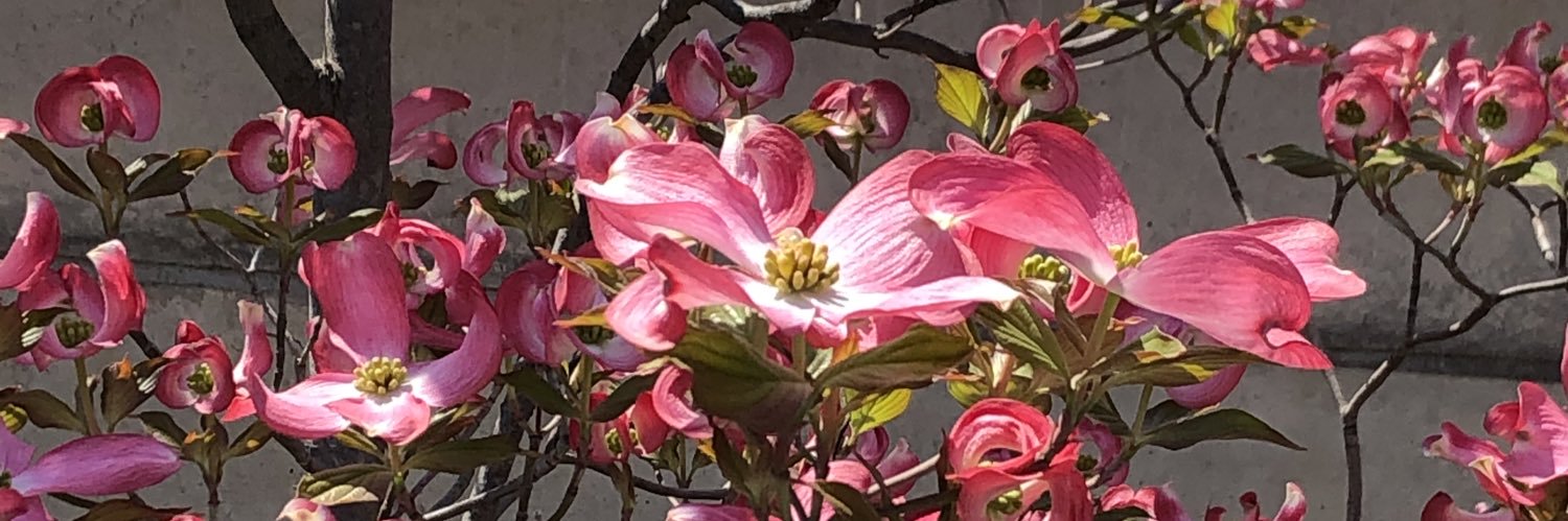 yoko_10214's profile banner image