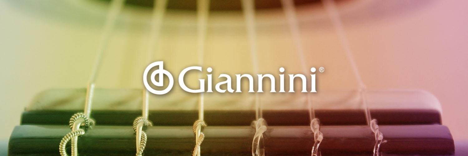 gianninibrasil's profile banner image
