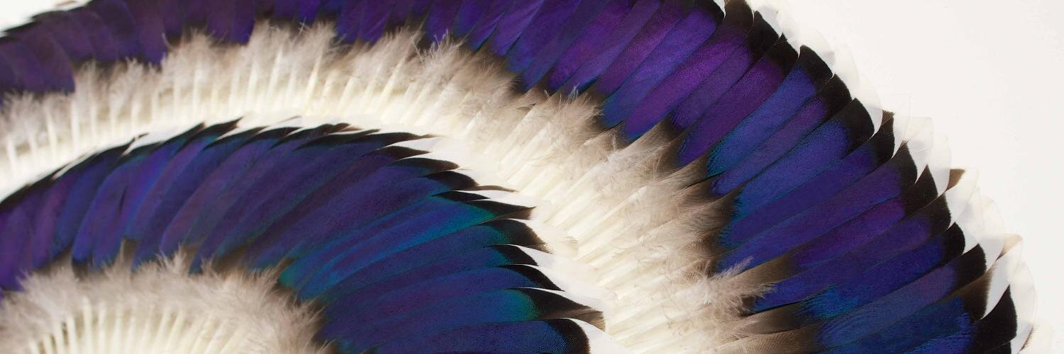 Kate MccGwire banner