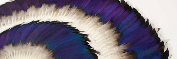 KateMccGwire Profile Banner